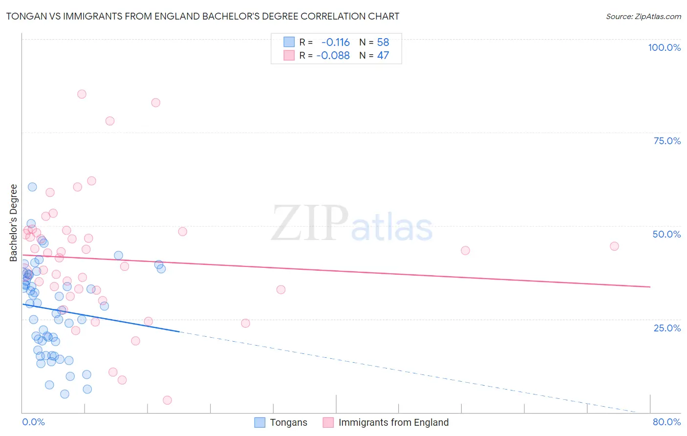 Tongan vs Immigrants from England Bachelor's Degree