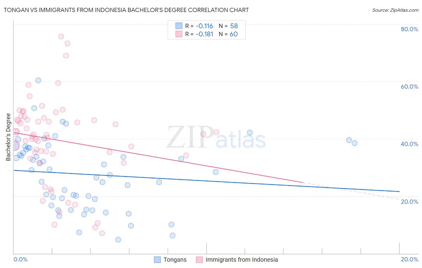 Tongan vs Immigrants from Indonesia Bachelor's Degree