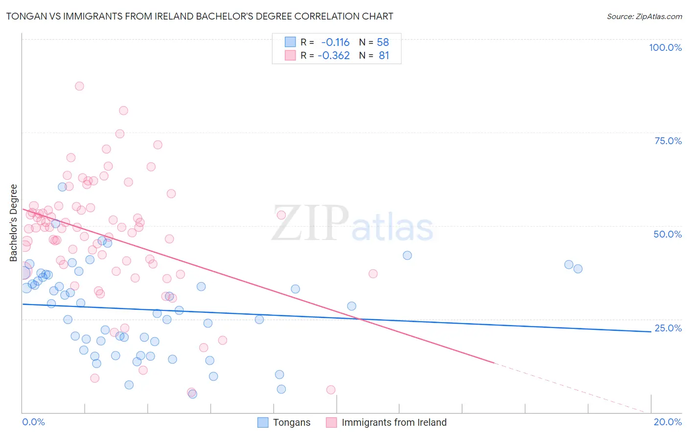 Tongan vs Immigrants from Ireland Bachelor's Degree