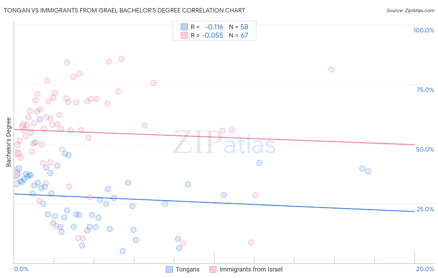 Tongan vs Immigrants from Israel Bachelor's Degree