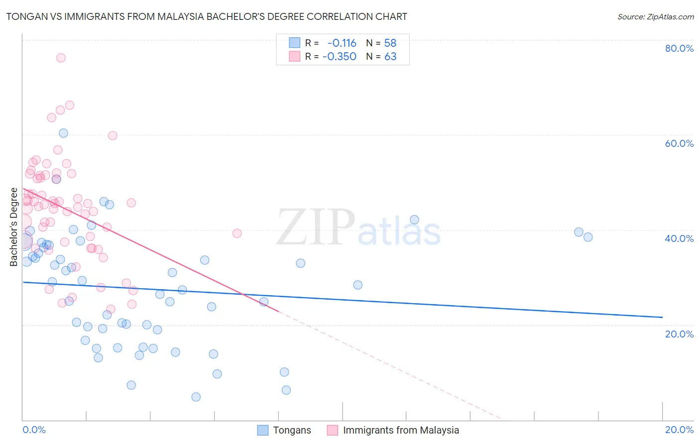 Tongan vs Immigrants from Malaysia Bachelor's Degree