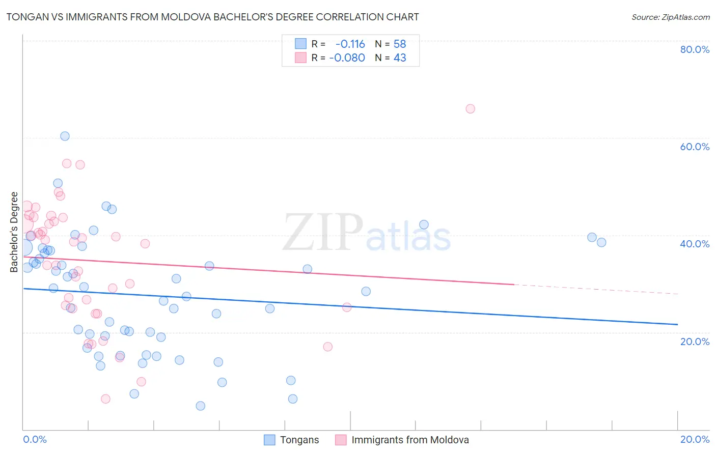 Tongan vs Immigrants from Moldova Bachelor's Degree