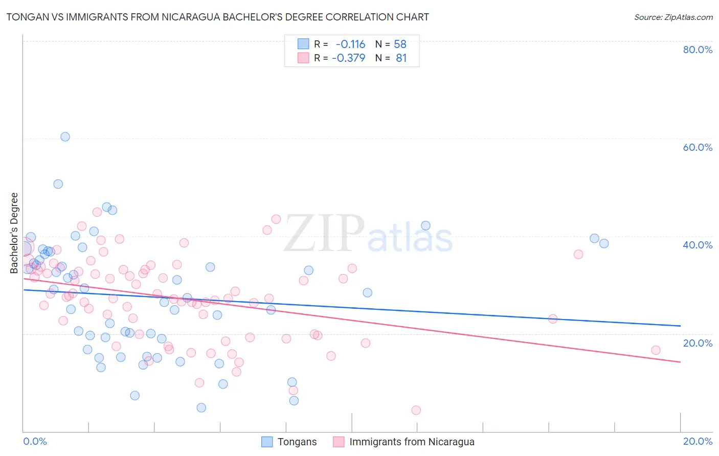 Tongan vs Immigrants from Nicaragua Bachelor's Degree