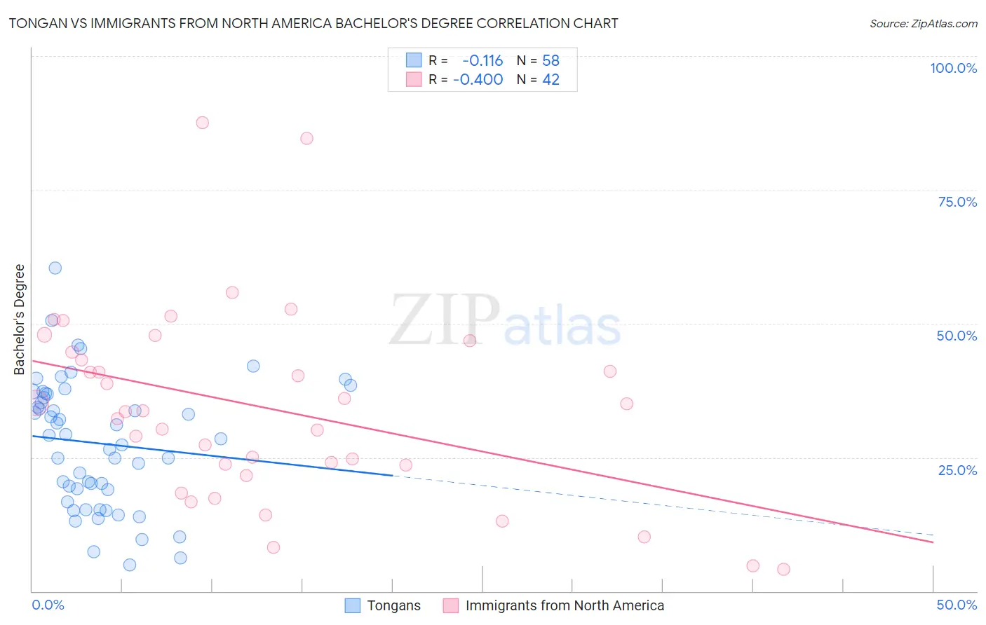 Tongan vs Immigrants from North America Bachelor's Degree