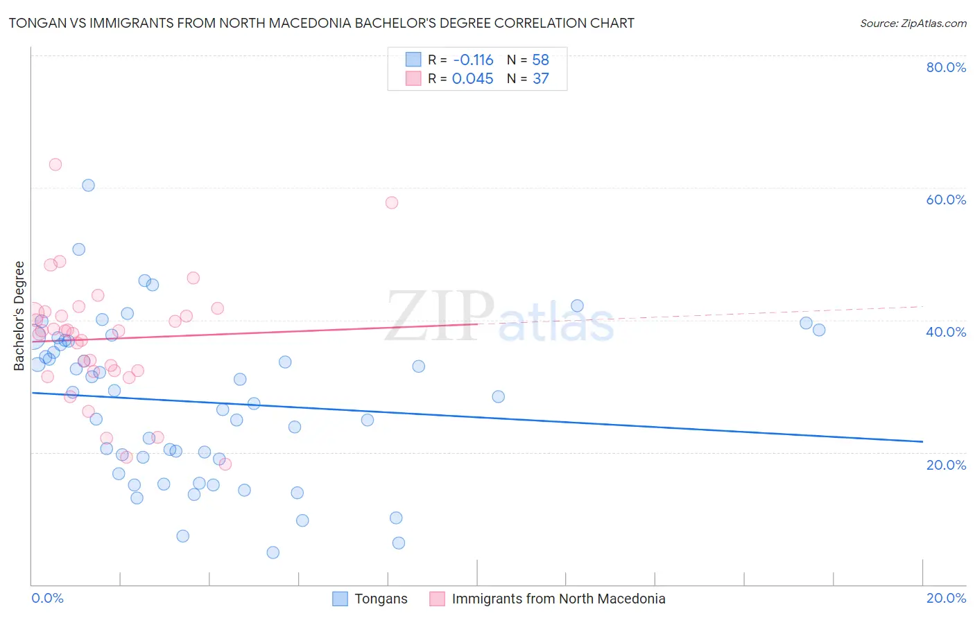 Tongan vs Immigrants from North Macedonia Bachelor's Degree