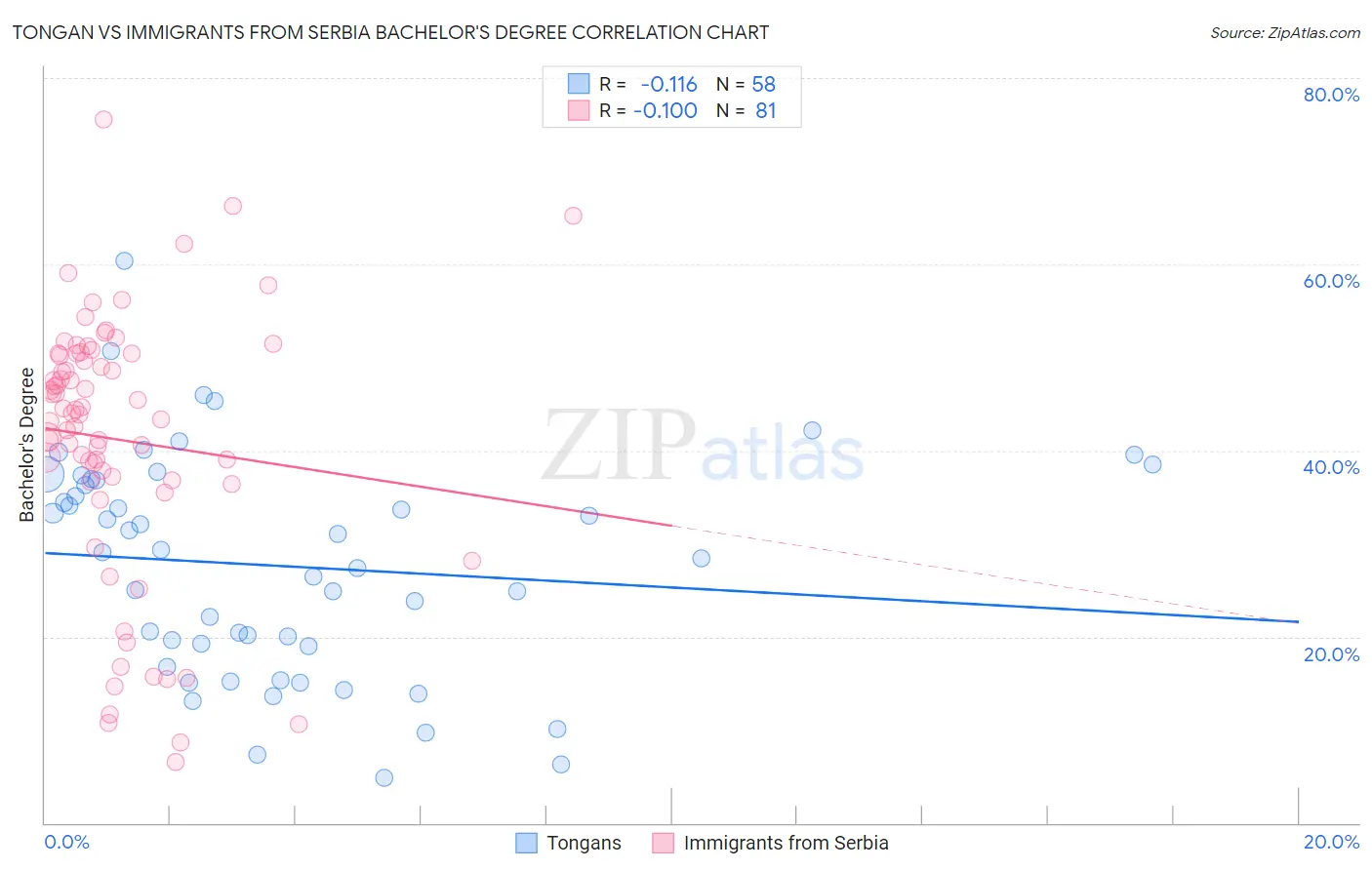 Tongan vs Immigrants from Serbia Bachelor's Degree