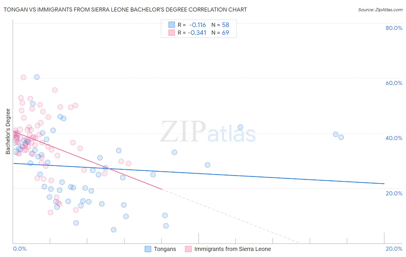 Tongan vs Immigrants from Sierra Leone Bachelor's Degree