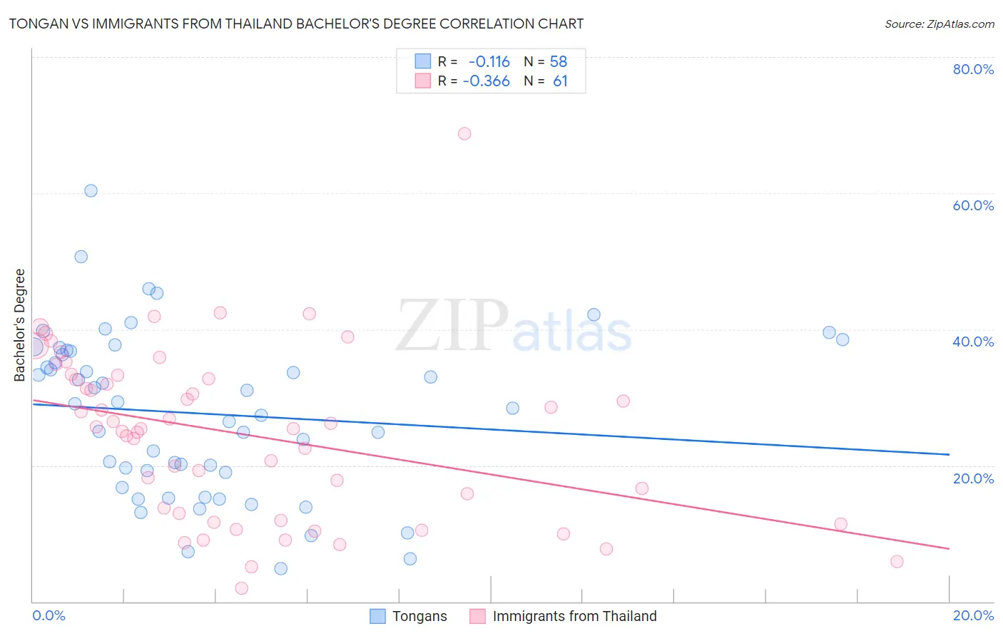 Tongan vs Immigrants from Thailand Bachelor's Degree