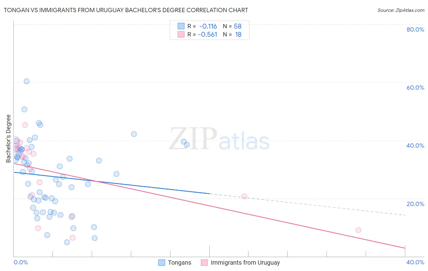 Tongan vs Immigrants from Uruguay Bachelor's Degree