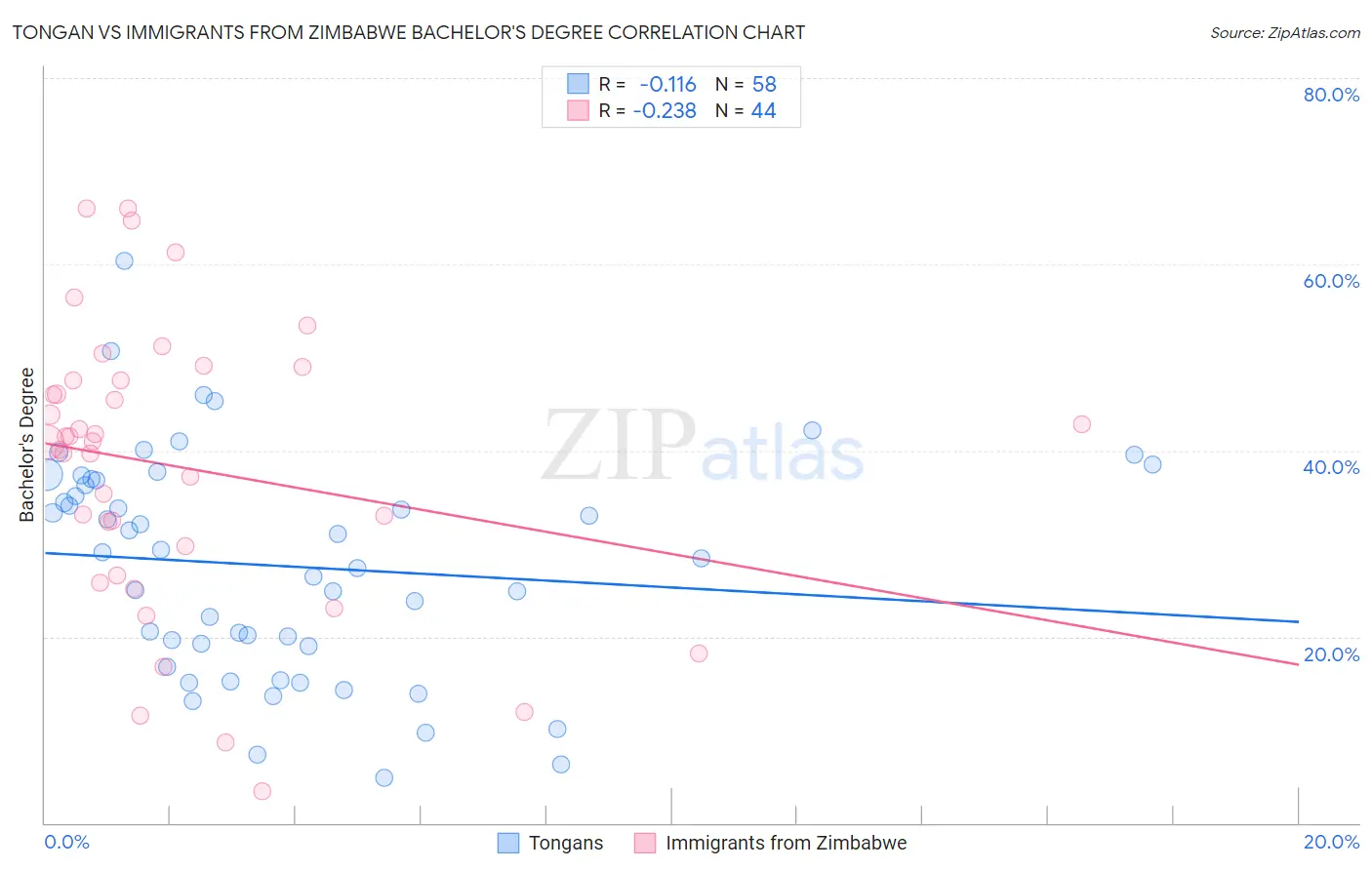 Tongan vs Immigrants from Zimbabwe Bachelor's Degree