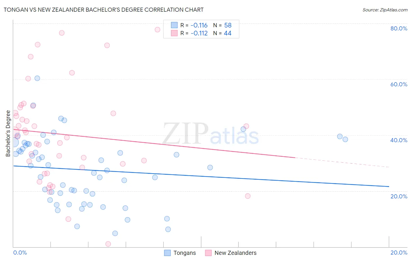 Tongan vs New Zealander Bachelor's Degree