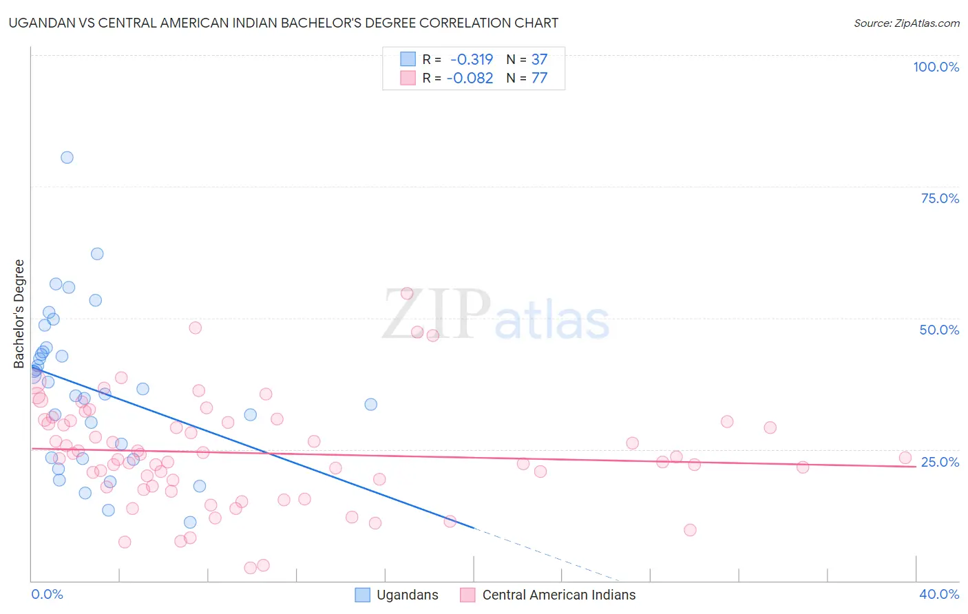 Ugandan vs Central American Indian Bachelor's Degree