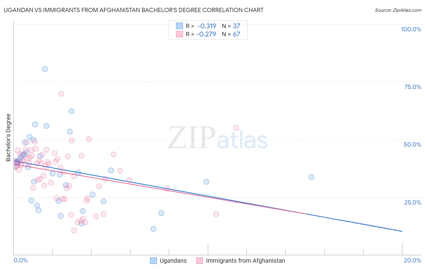 Ugandan vs Immigrants from Afghanistan Bachelor's Degree