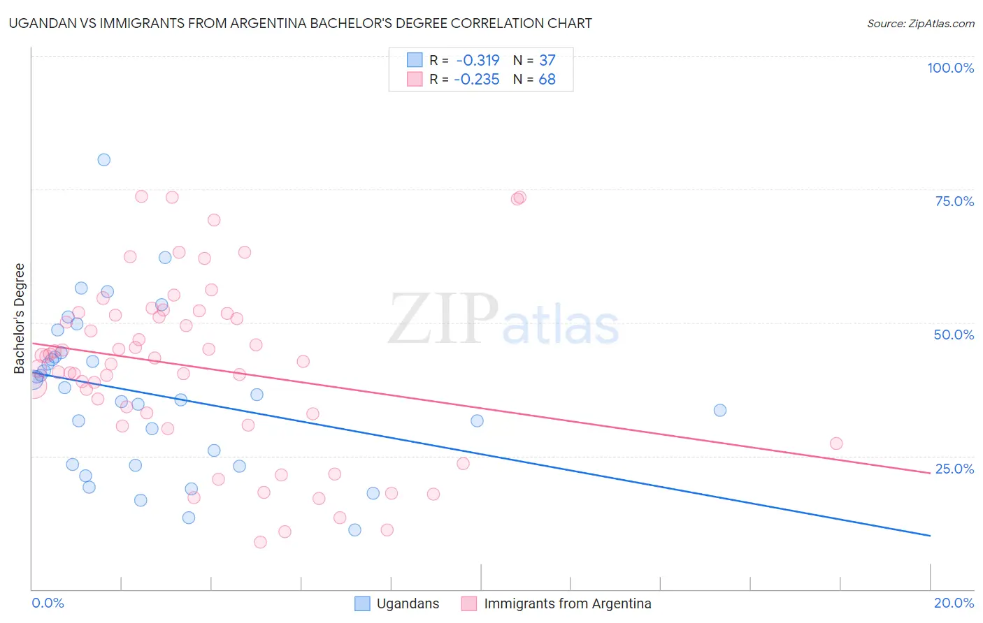Ugandan vs Immigrants from Argentina Bachelor's Degree