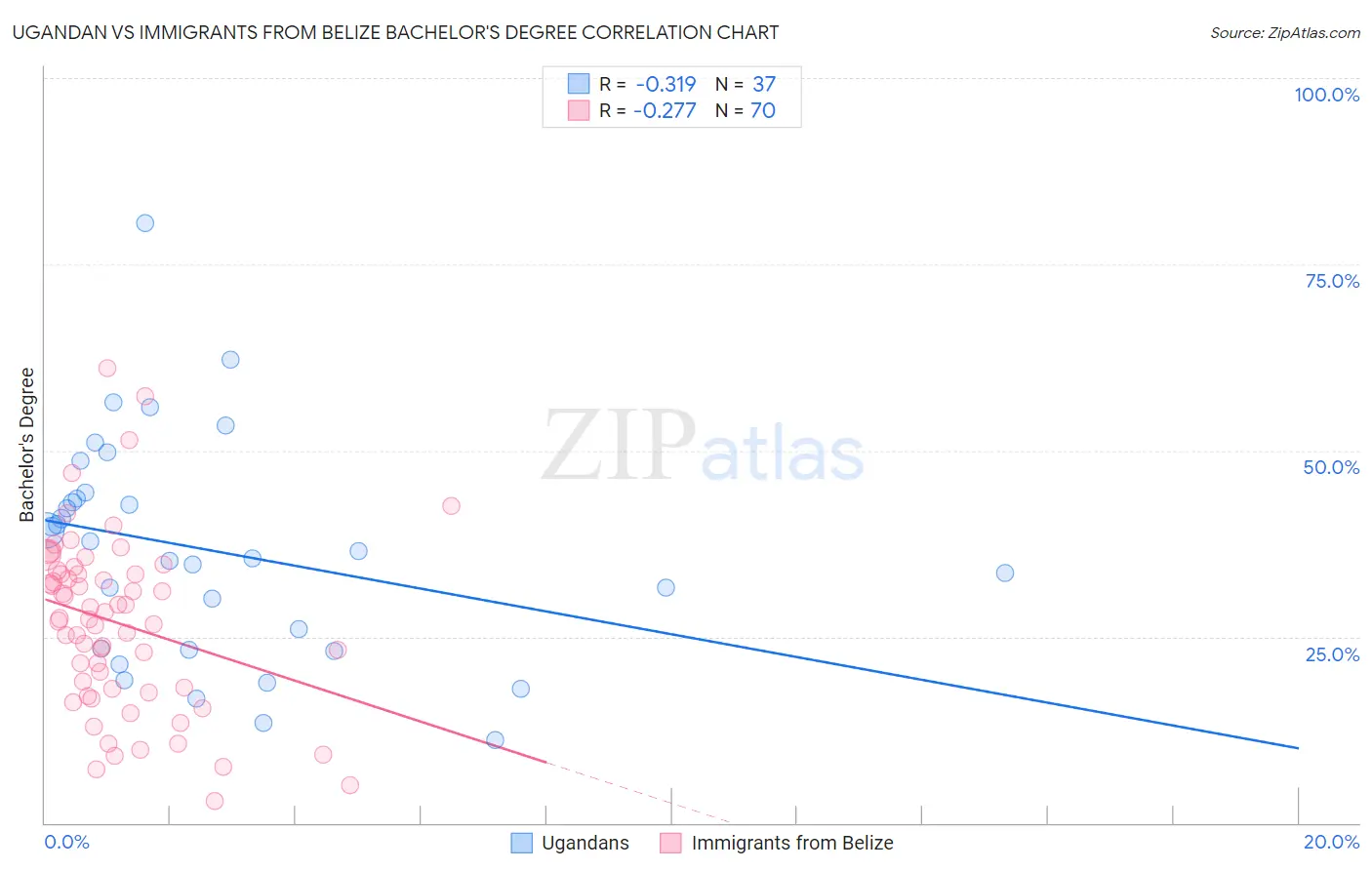 Ugandan vs Immigrants from Belize Bachelor's Degree