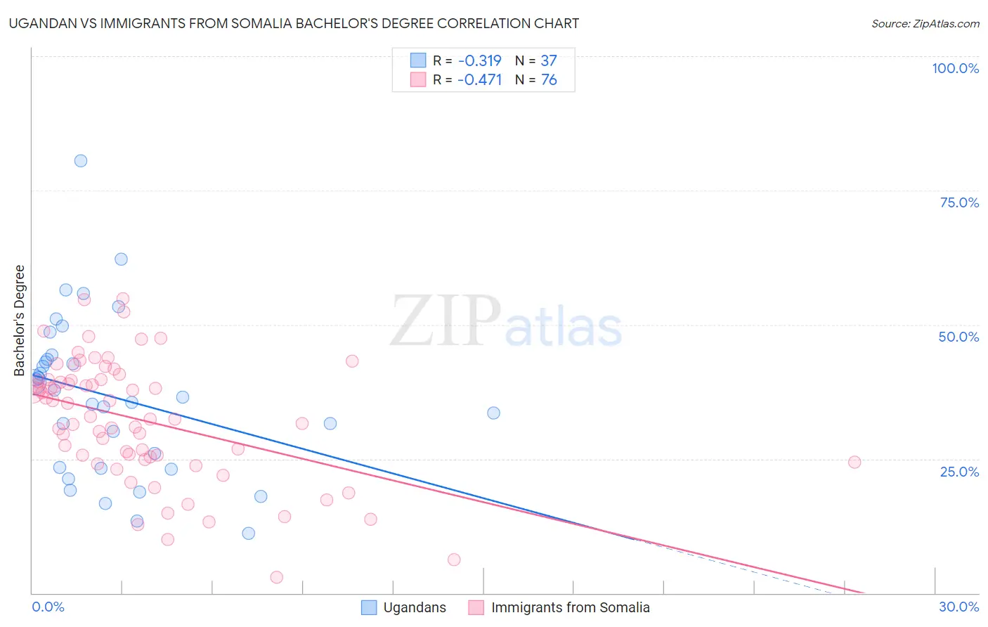 Ugandan vs Immigrants from Somalia Bachelor's Degree