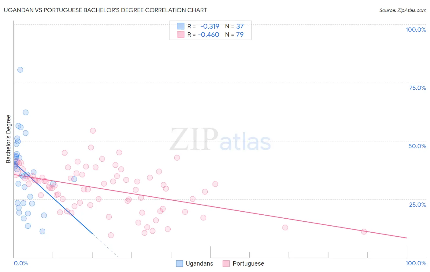 Ugandan vs Portuguese Bachelor's Degree