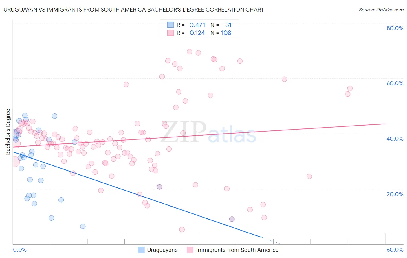 Uruguayan vs Immigrants from South America Bachelor's Degree