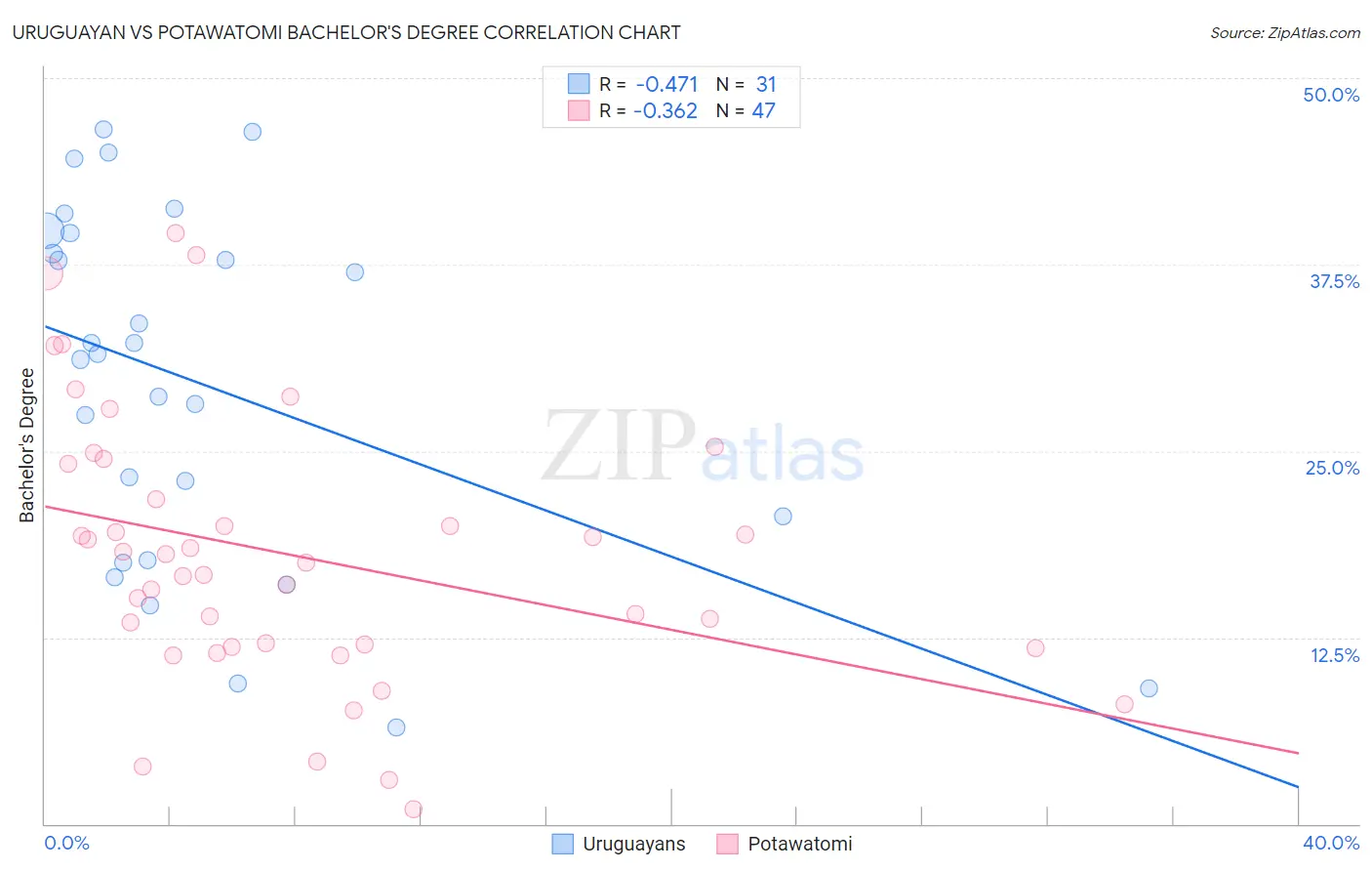 Uruguayan vs Potawatomi Bachelor's Degree