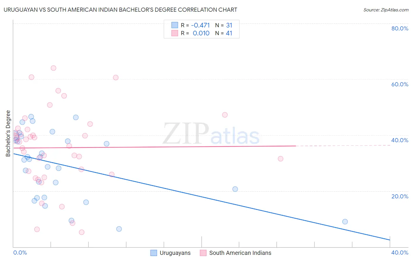 Uruguayan vs South American Indian Bachelor's Degree