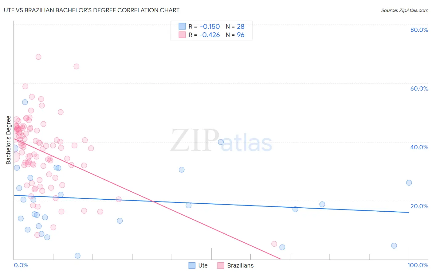Ute vs Brazilian Bachelor's Degree