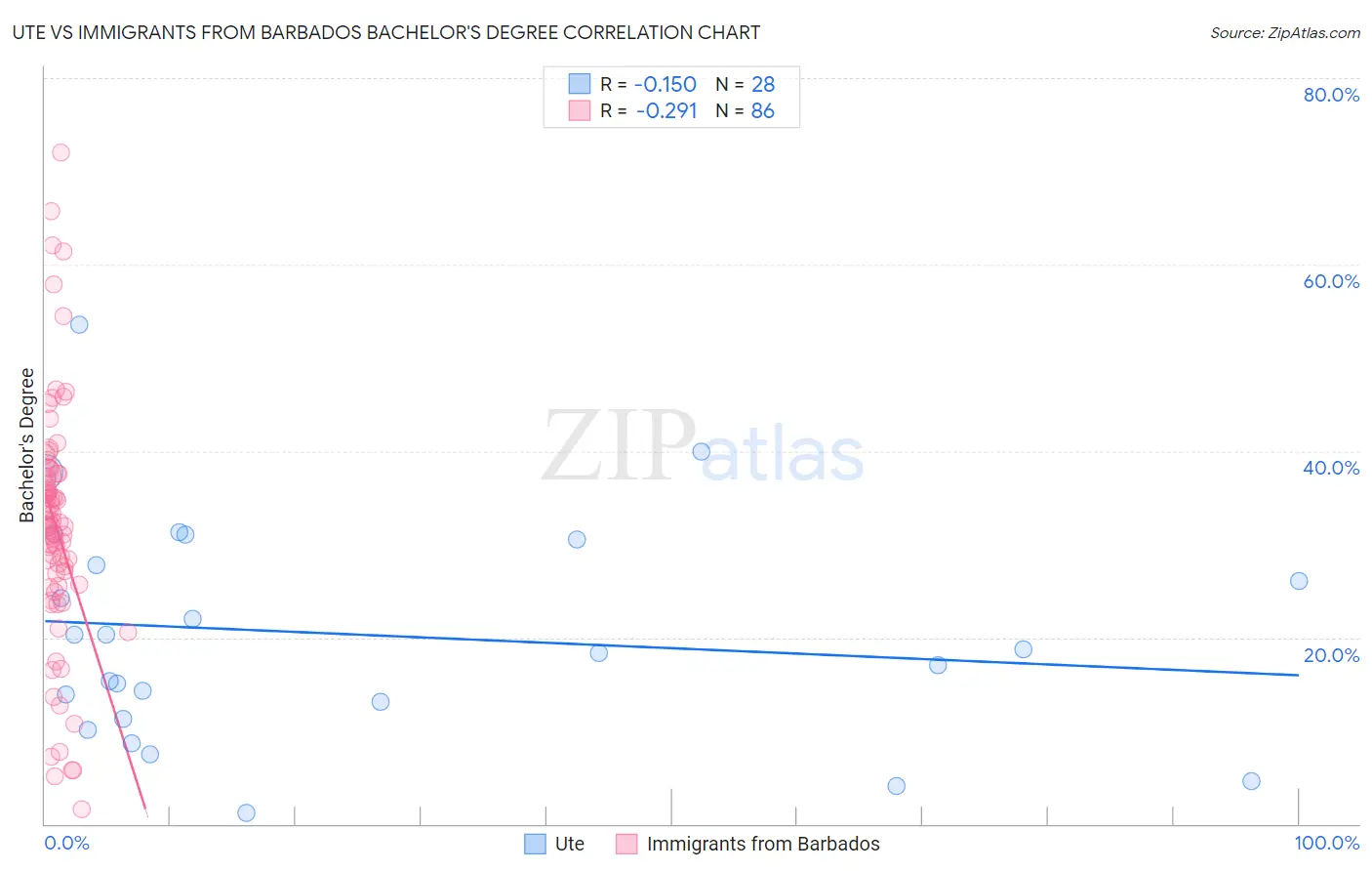Ute vs Immigrants from Barbados Bachelor's Degree