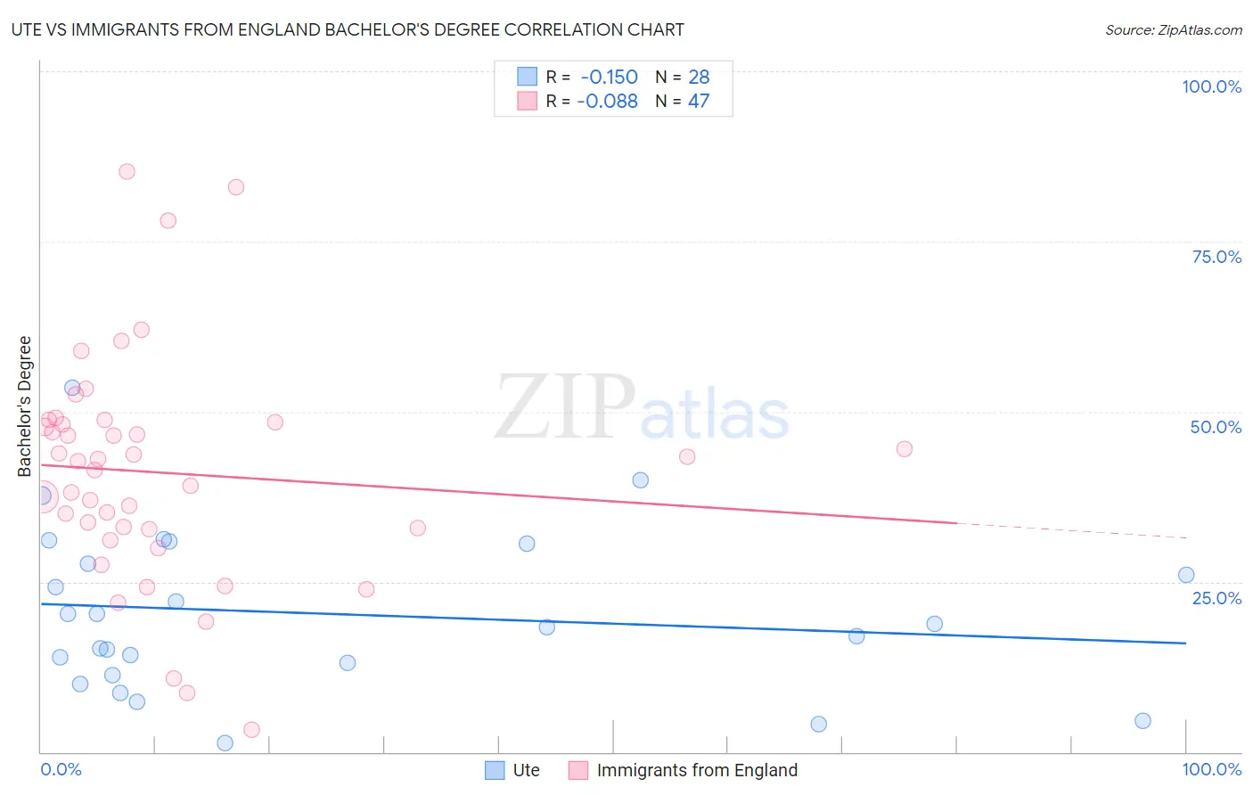 Ute vs Immigrants from England Bachelor's Degree