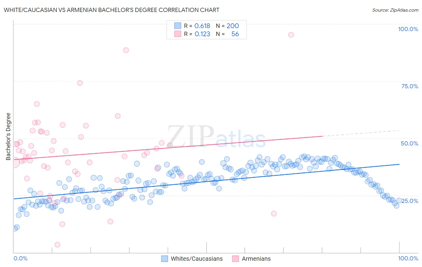 White/Caucasian vs Armenian Bachelor's Degree
