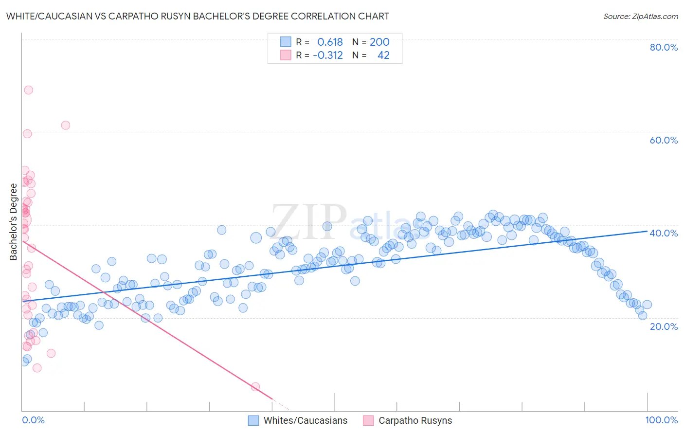 White/Caucasian vs Carpatho Rusyn Bachelor's Degree