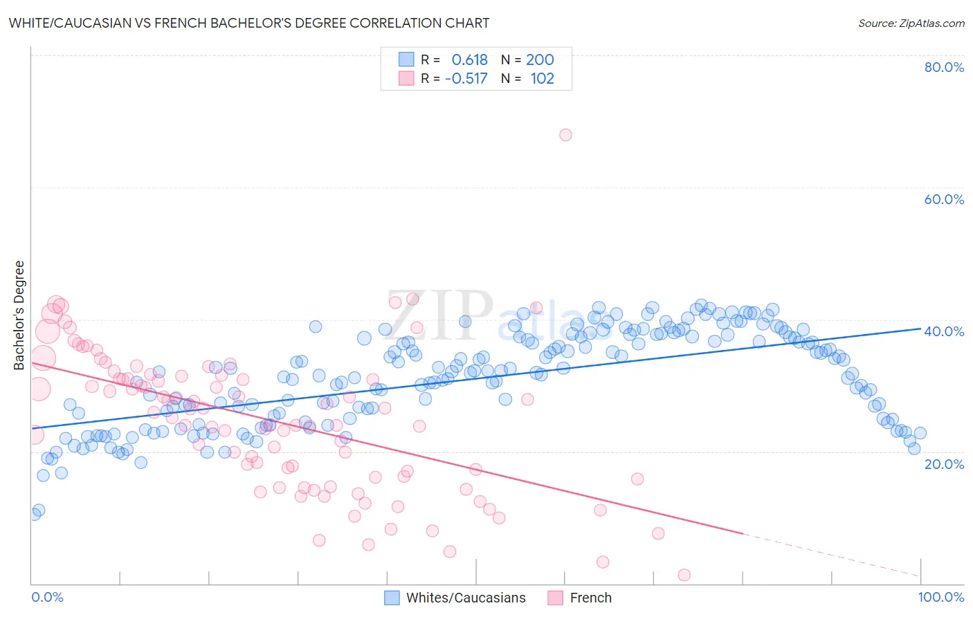White/Caucasian vs French Bachelor's Degree