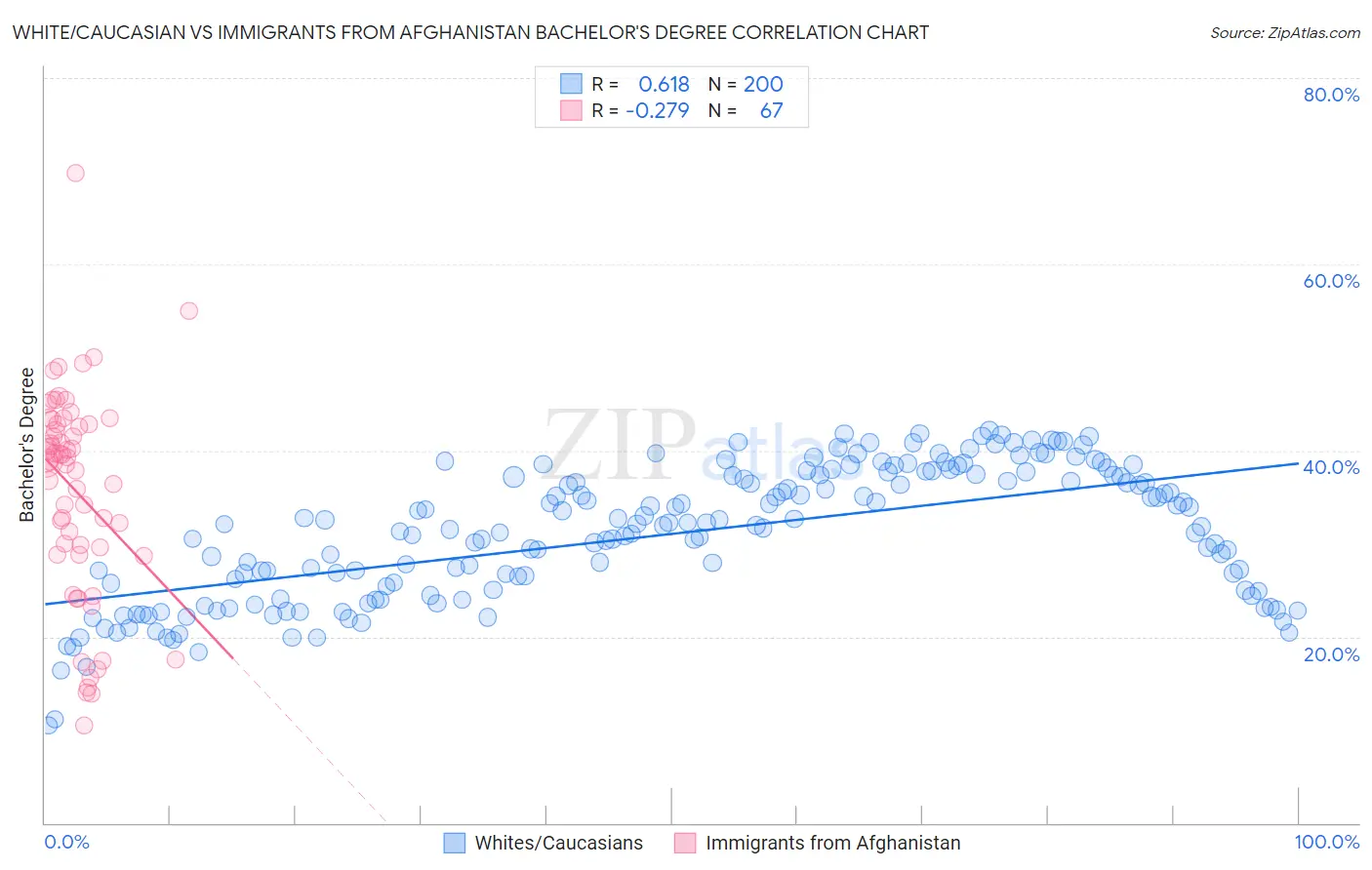 White/Caucasian vs Immigrants from Afghanistan Bachelor's Degree