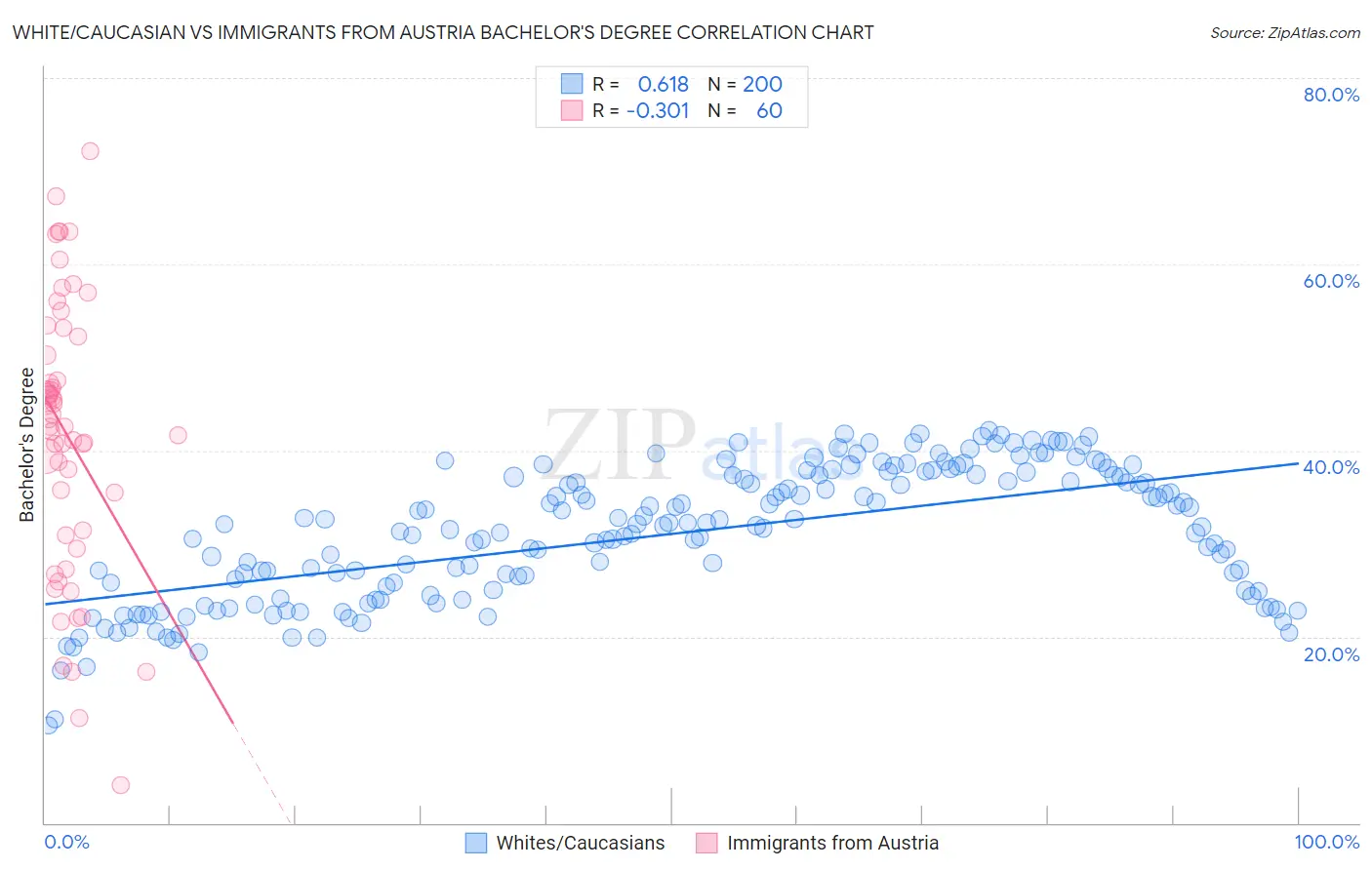 White/Caucasian vs Immigrants from Austria Bachelor's Degree