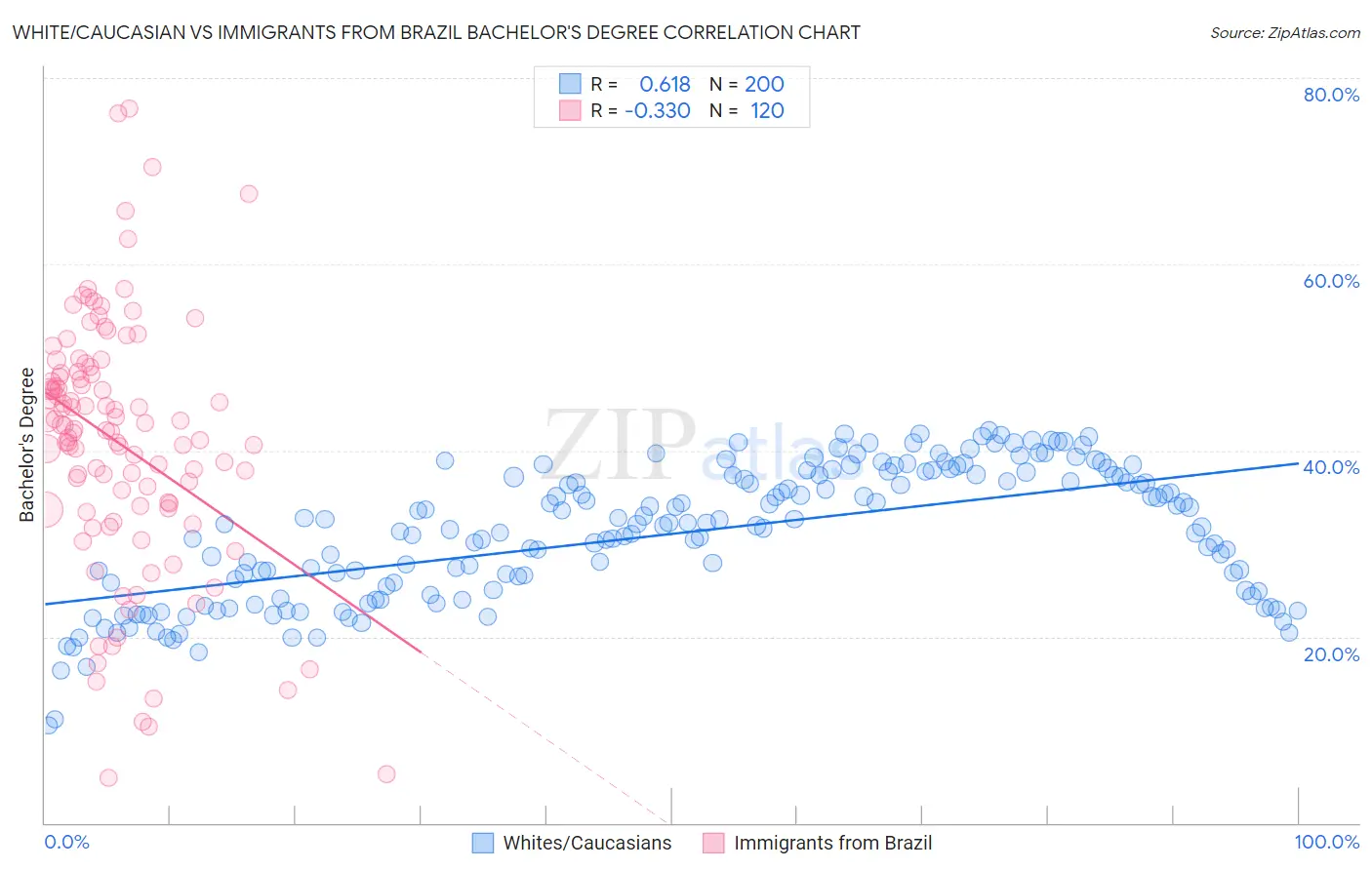 White/Caucasian vs Immigrants from Brazil Bachelor's Degree