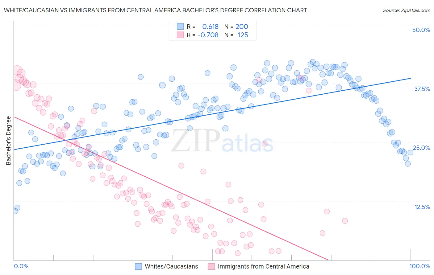 White/Caucasian vs Immigrants from Central America Bachelor's Degree