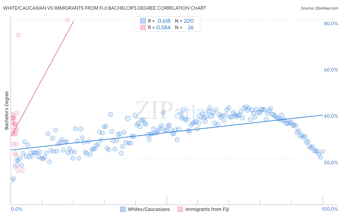 White/Caucasian vs Immigrants from Fiji Bachelor's Degree