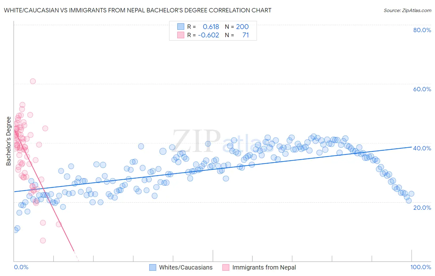 White/Caucasian vs Immigrants from Nepal Bachelor's Degree