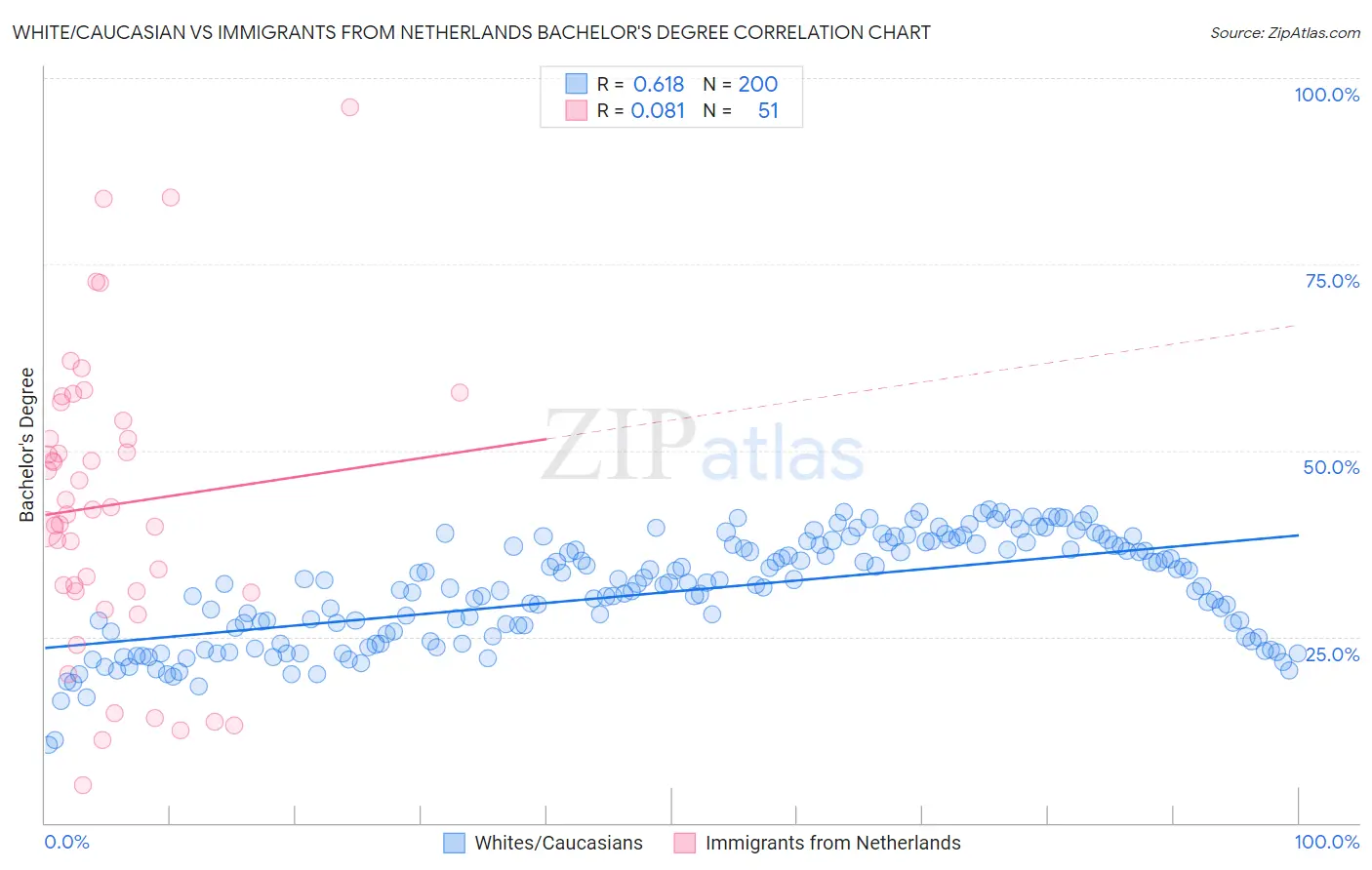 White/Caucasian vs Immigrants from Netherlands Bachelor's Degree