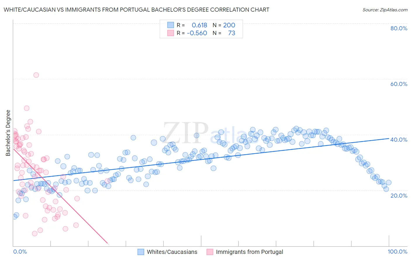 White/Caucasian vs Immigrants from Portugal Bachelor's Degree