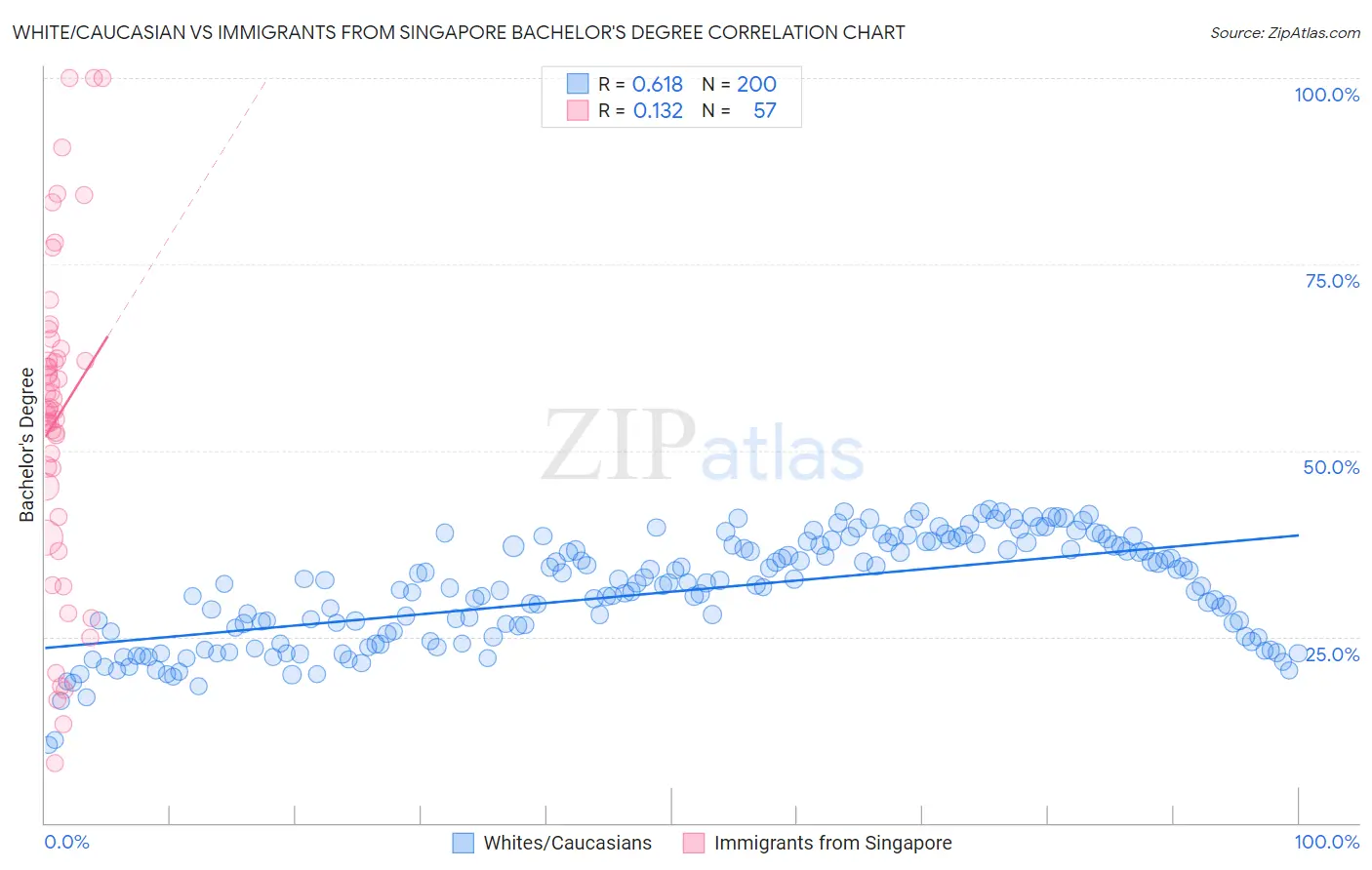 White/Caucasian vs Immigrants from Singapore Bachelor's Degree