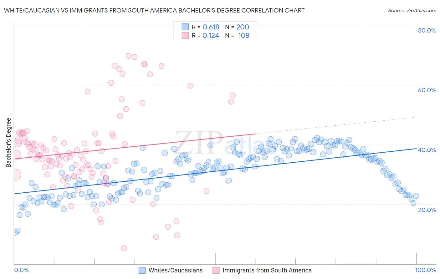 White/Caucasian vs Immigrants from South America Bachelor's Degree
