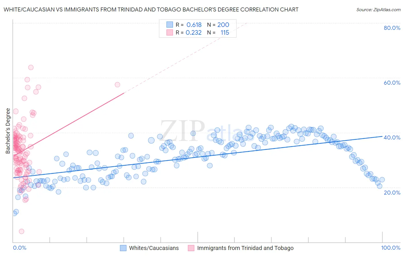 White/Caucasian vs Immigrants from Trinidad and Tobago Bachelor's Degree