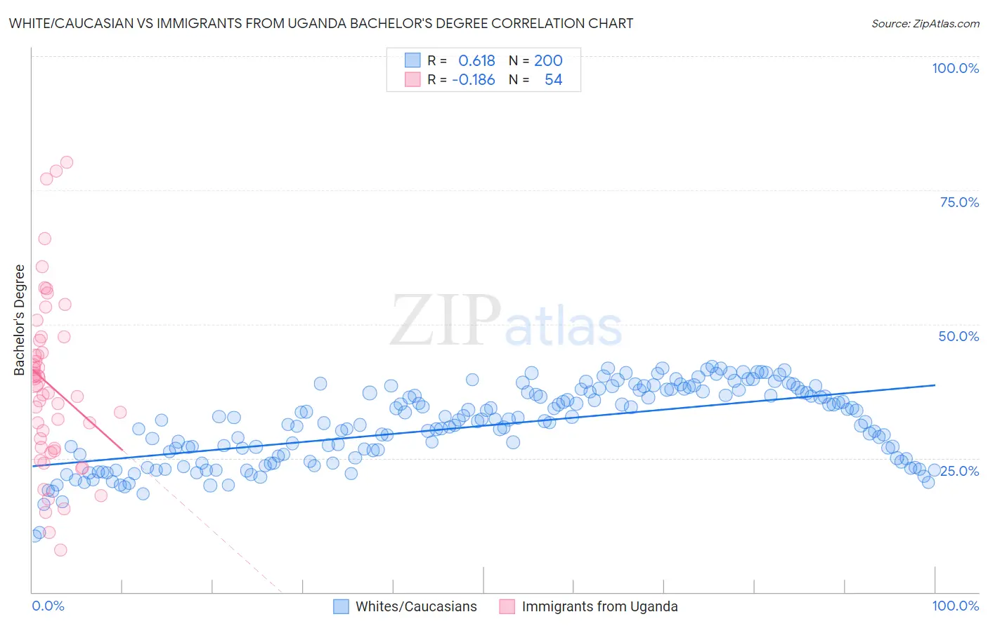 White/Caucasian vs Immigrants from Uganda Bachelor's Degree