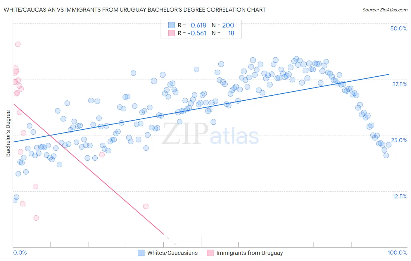 White/Caucasian vs Immigrants from Uruguay Bachelor's Degree