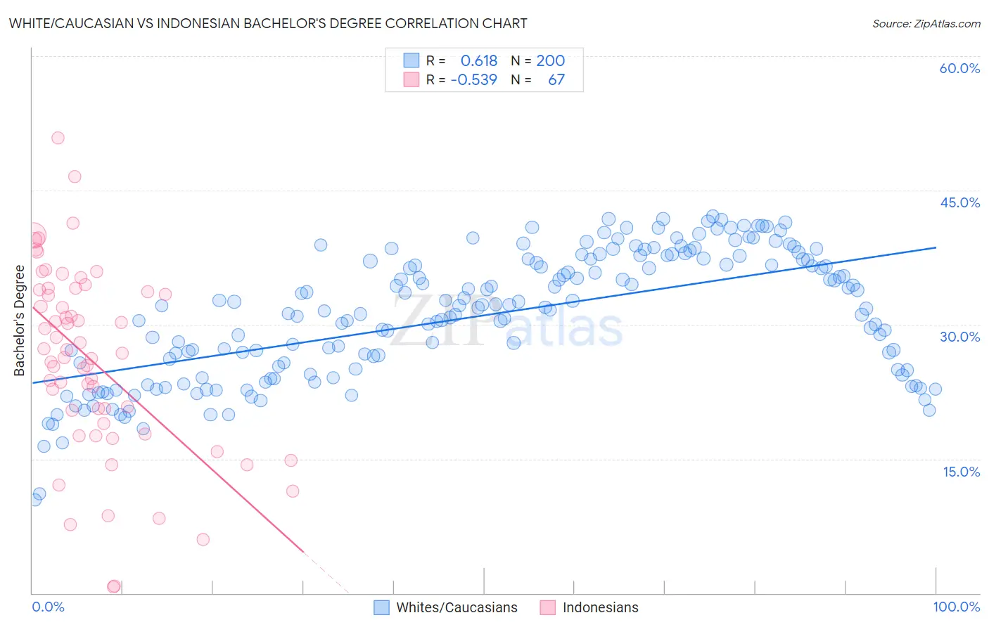 White/Caucasian vs Indonesian Bachelor's Degree