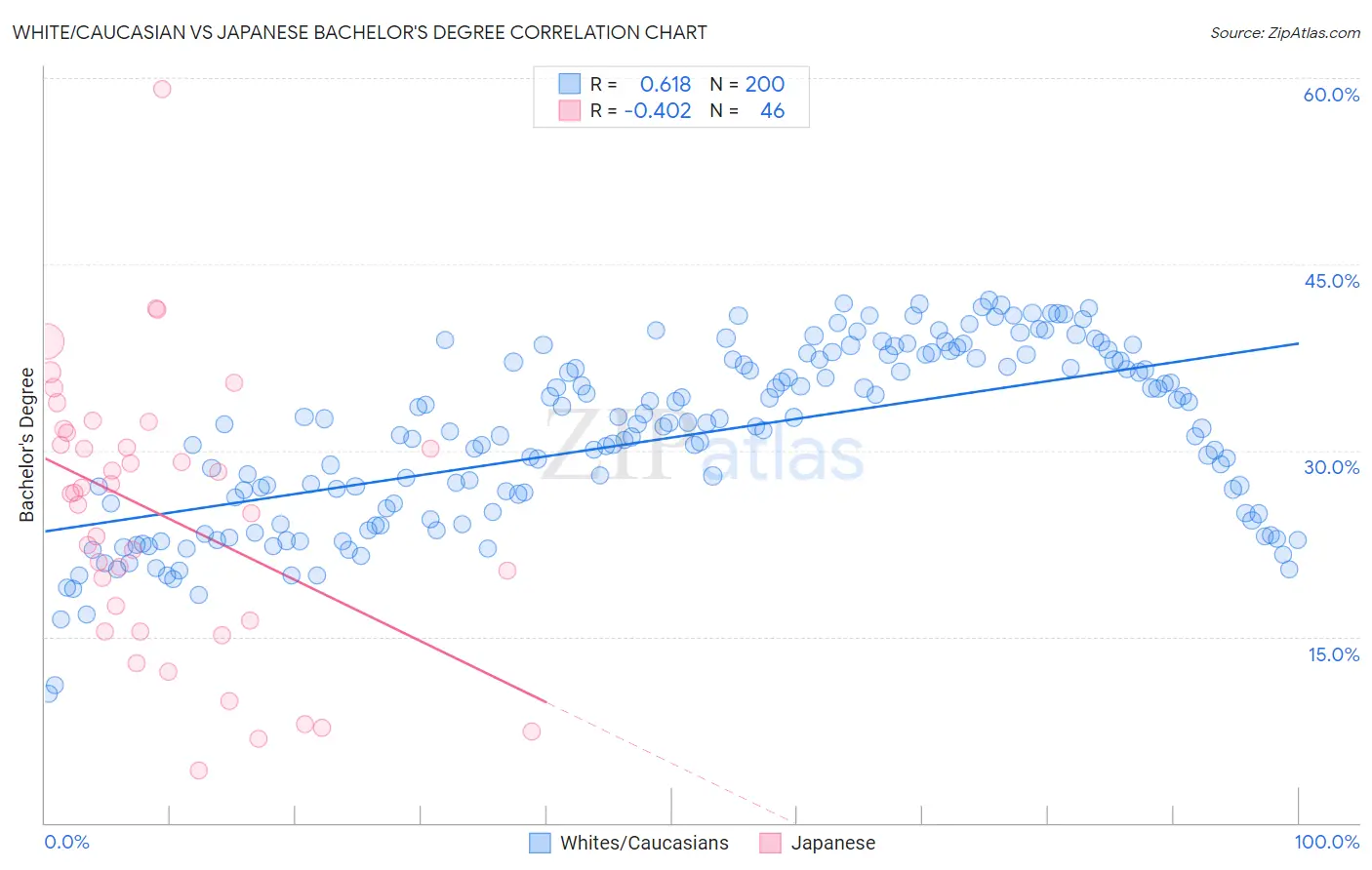 White/Caucasian vs Japanese Bachelor's Degree