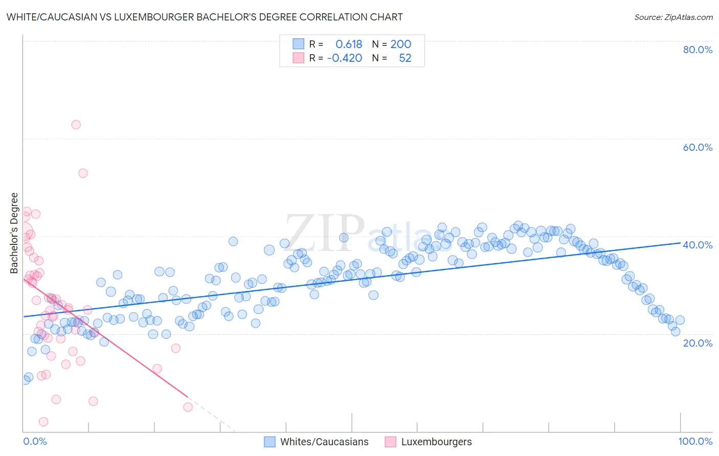 White/Caucasian vs Luxembourger Bachelor's Degree