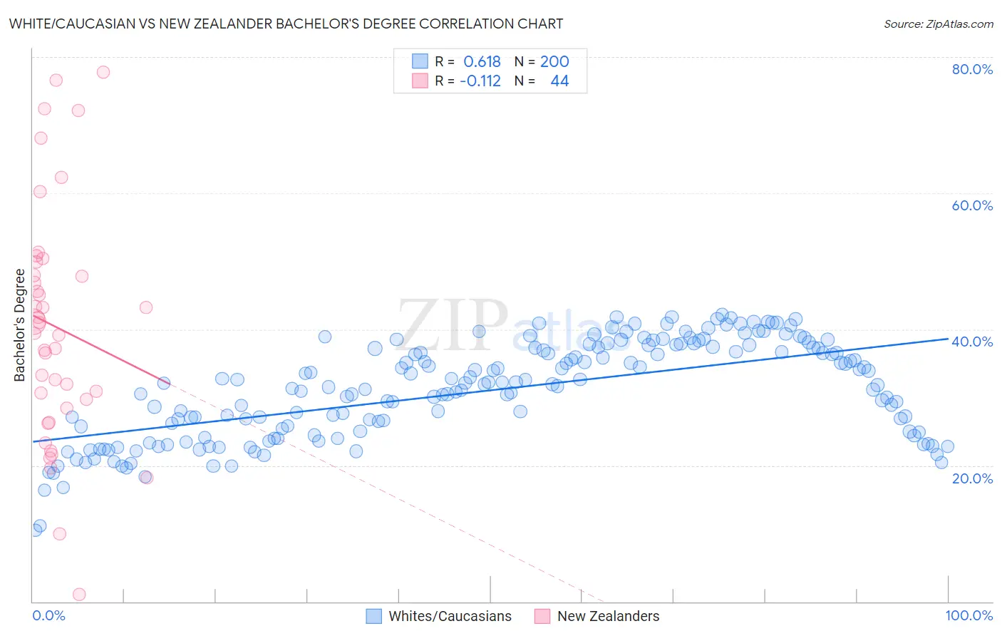 White/Caucasian vs New Zealander Bachelor's Degree