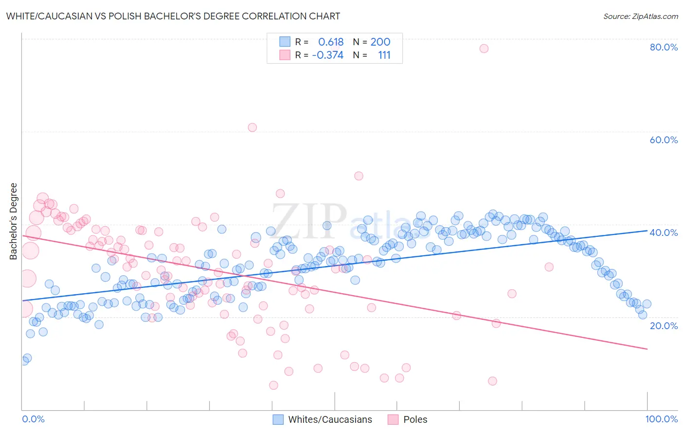 White/Caucasian vs Polish Bachelor's Degree