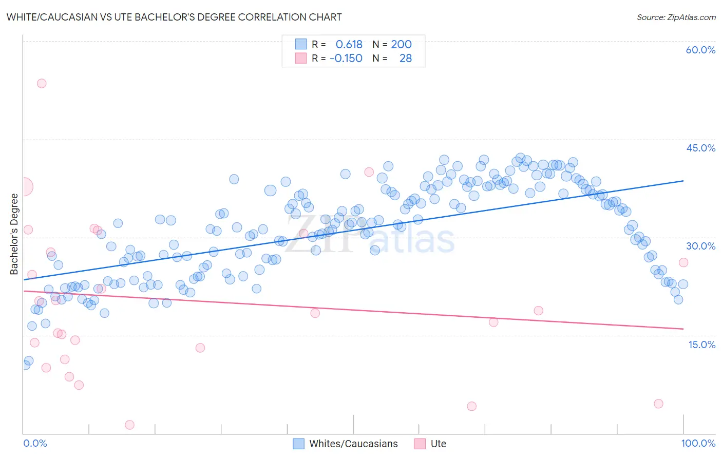 White/Caucasian vs Ute Bachelor's Degree