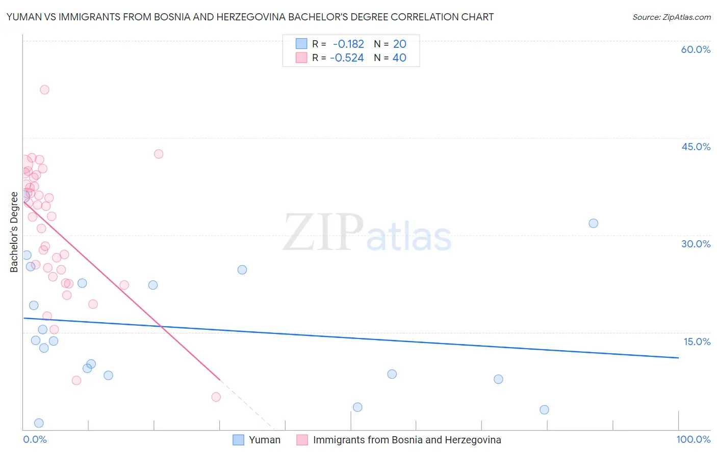 Yuman vs Immigrants from Bosnia and Herzegovina Bachelor's Degree